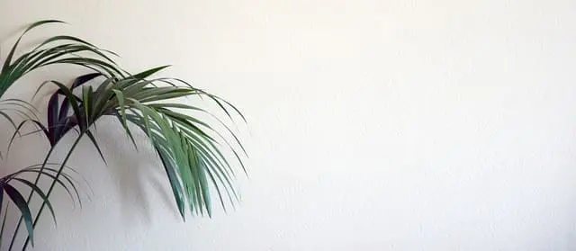 מהו אתר תדמית ולמה הוא חשוב עבור רופא